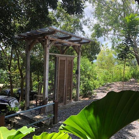 Omah Cantrik, Ethnic Java House With Nature View Jarakan Zewnętrze zdjęcie
